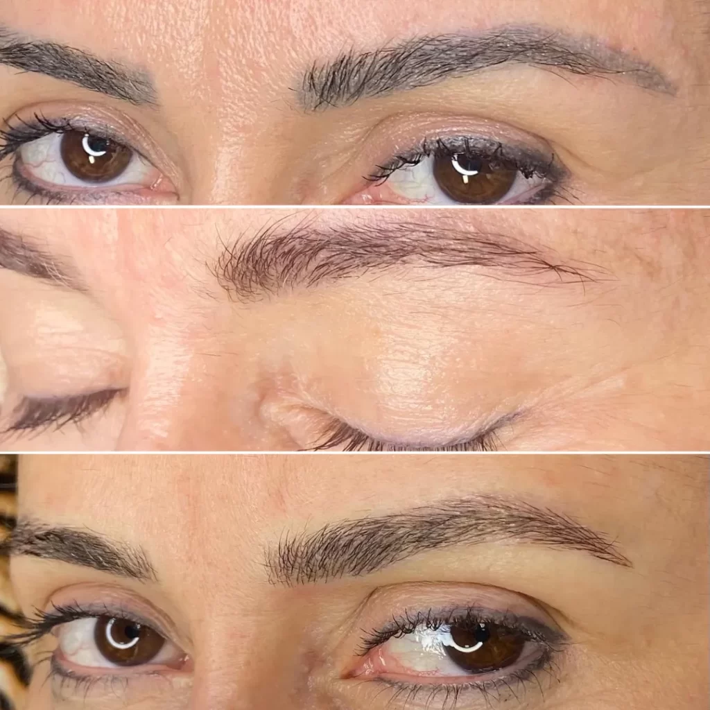Remoção e Micropigmentação de sobrancelha por Tanara Miranda - Magnific Beauty