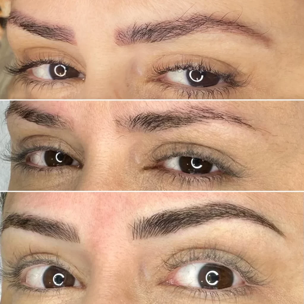 Remoção e Micropigmentação de sobrancelha por Tanara Miranda - Magnific Beauty