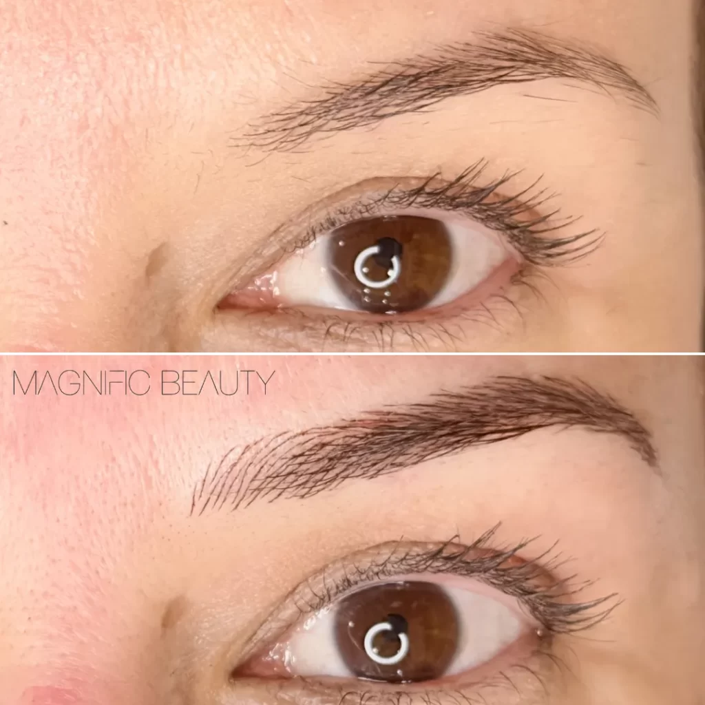 Micropigmentação de sobrancelha por Tanara Miranda - Magnific Beauty